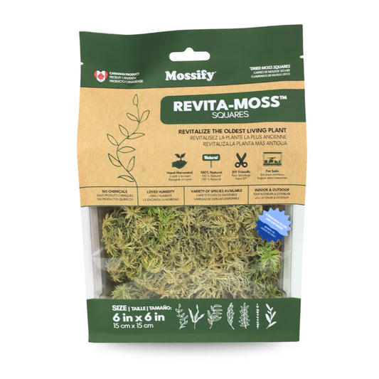 Sphagnum Moss