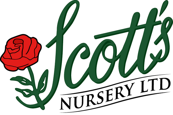 Scott's Nursery Ltd. 