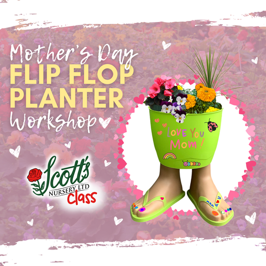 Mother's Day Planter Workshop