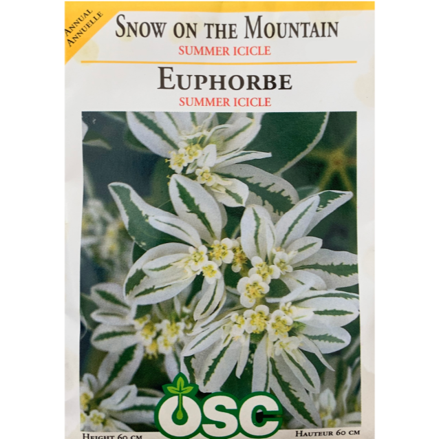 OSC Seeds Snow on the Mountain Summer Icicle Pkg