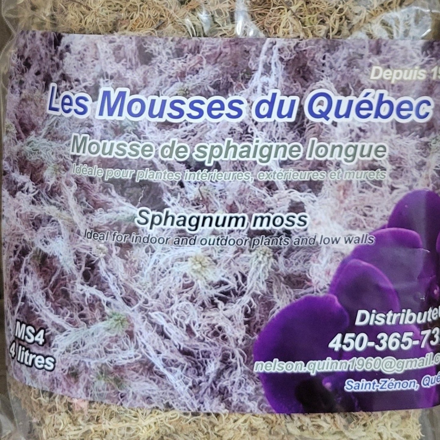 Sphagnum Moss Quebec