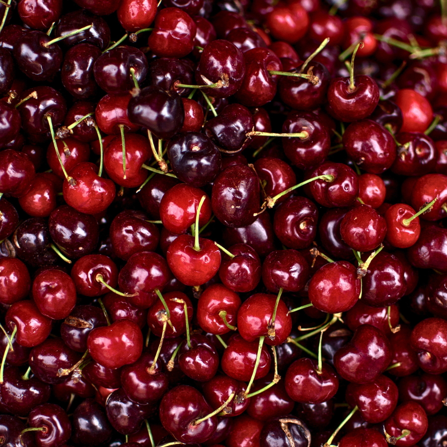Cherry 'Lapins'