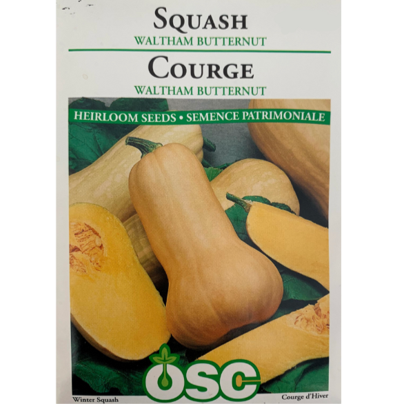 OSC Seeds Squash Waltham Butternut Pkg