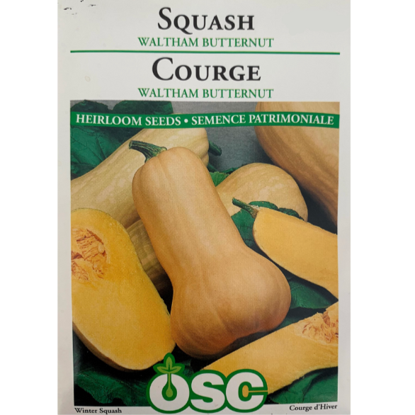 OSC Seeds Squash Waltham Butternut Pkg.
