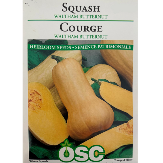 OSC Seeds Squash Waltham Butternut Pkg.