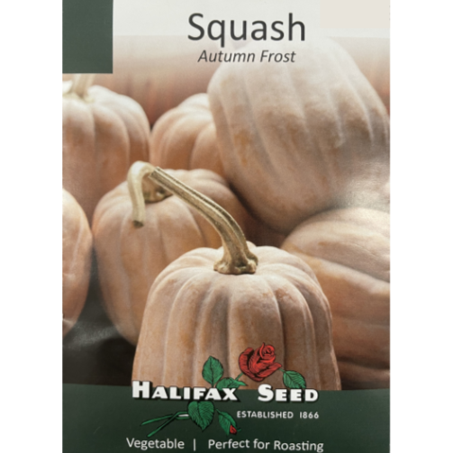 Halifax Seed Squash Autumn Frost