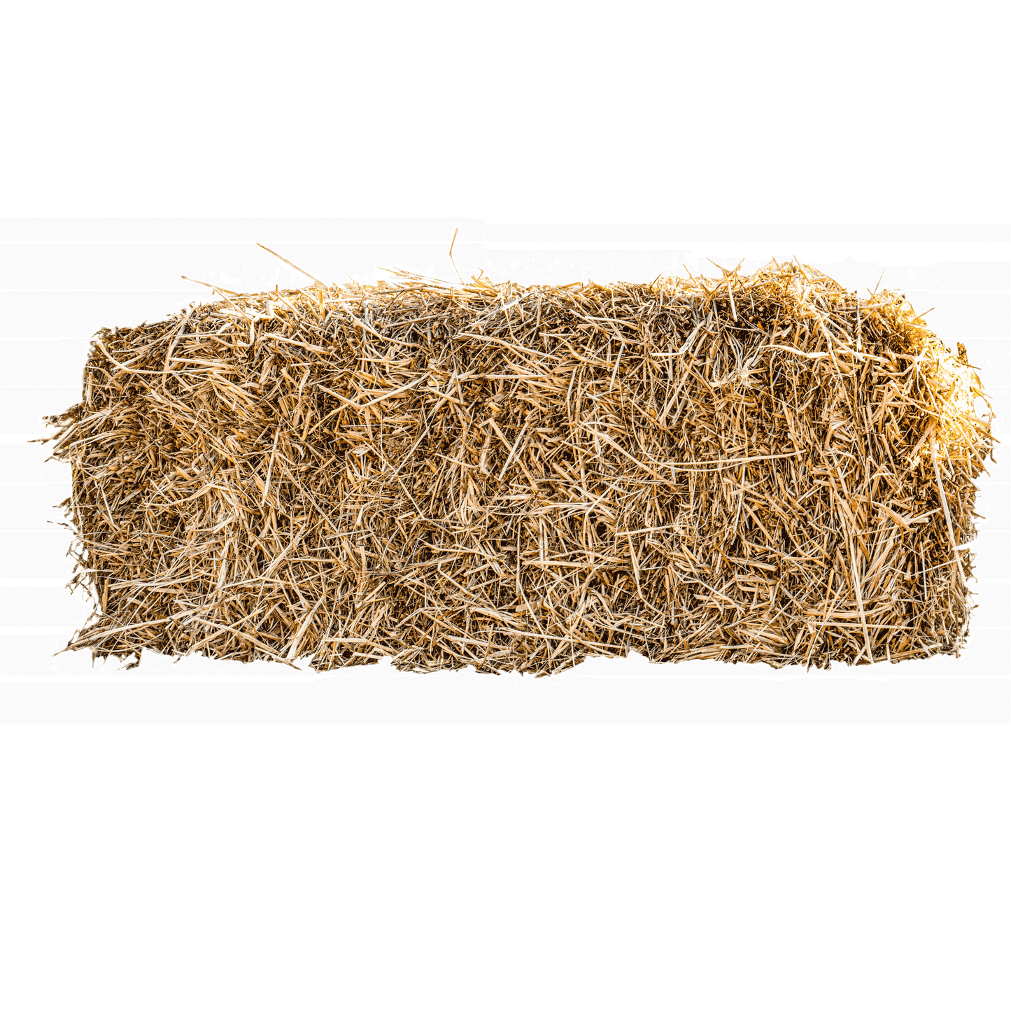 Bale of Straw Approximately 22" x 40"