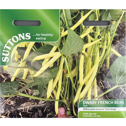 Suttons Seed Bean Dwarf French Dior Pkg.