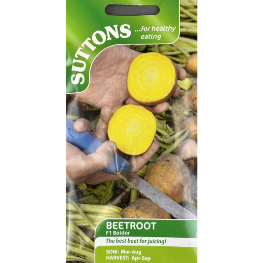 Suttons Seed Beetroot F1 Boldor Pkg.