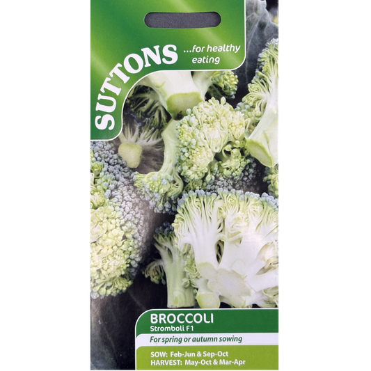 Suttons Seed Broccoli Stromboli F1