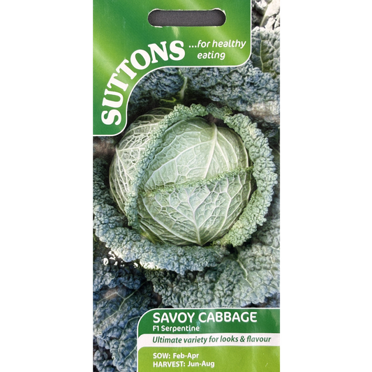 Suttons Seed Cabbage Savoy F1 Serpentine