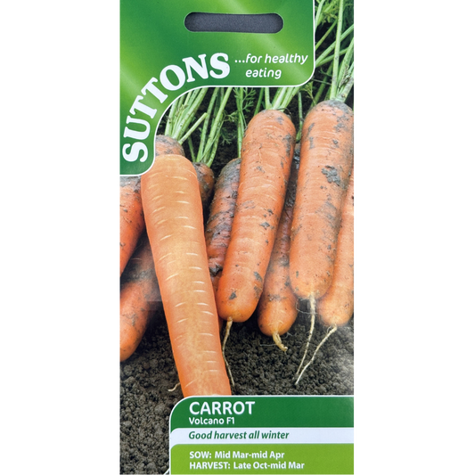 Suttons Seed Carrot F1 Volcano Pkg.