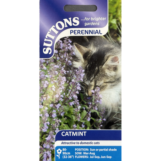 Suttons Seed Catmint Pkg.