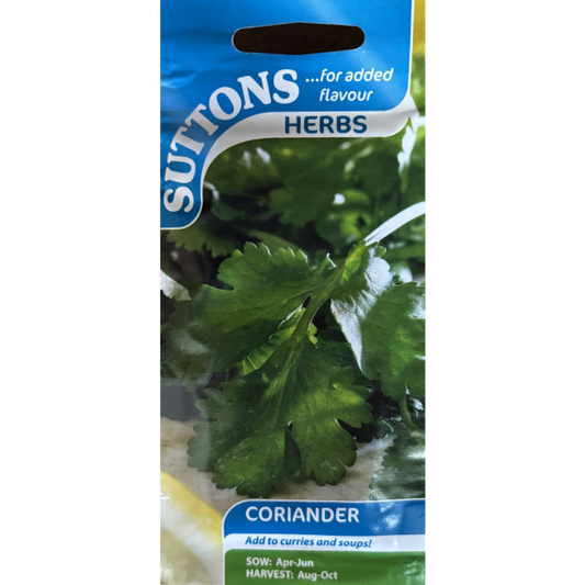 Suttons Seed Coriander Pkg.
