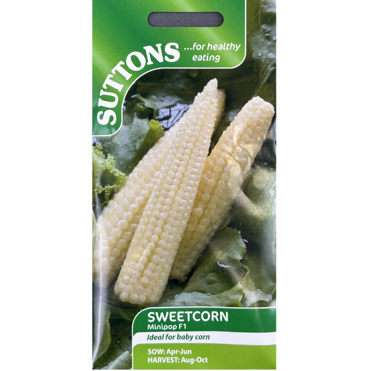 Suttons Seed Corn Minipop F1 Pkg.