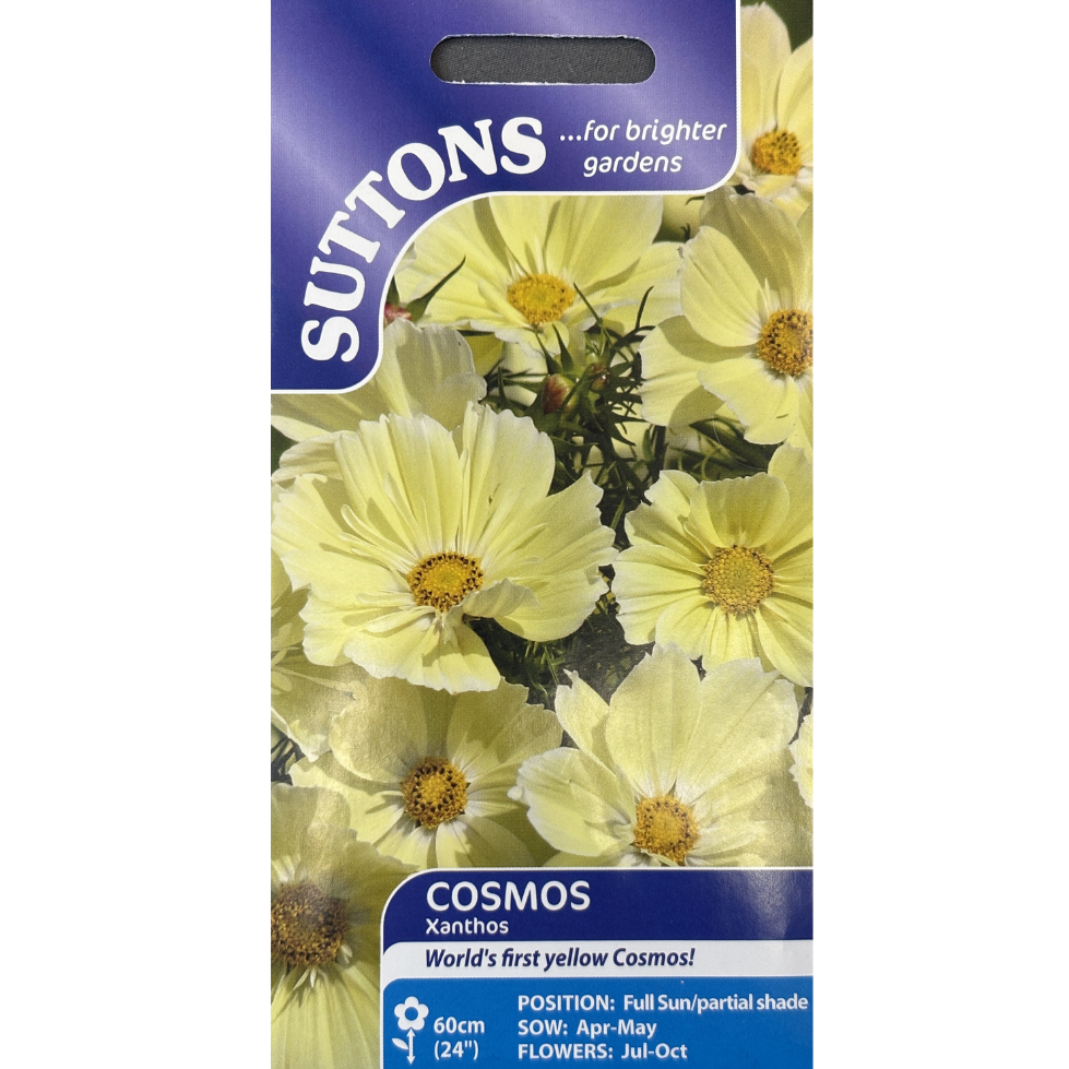 Suttons Seed Cosmos Xanthos