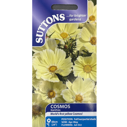 Suttons Seed Cosmos Xanthos