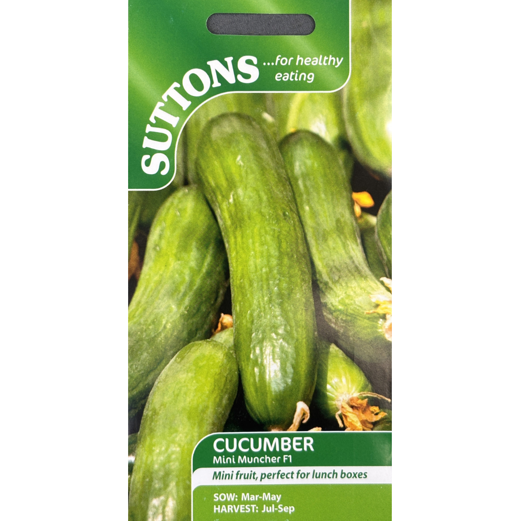 Suttons Seed Cucumber F1 Mini Muncher Pkg.
