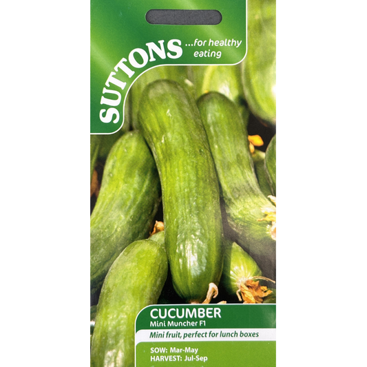 Suttons Seed Cucumber F1 Mini Muncher Pkg.
