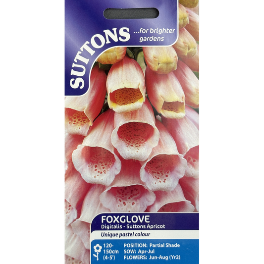 Suttons Seed Foxglove Suttons Apricot Pkg.