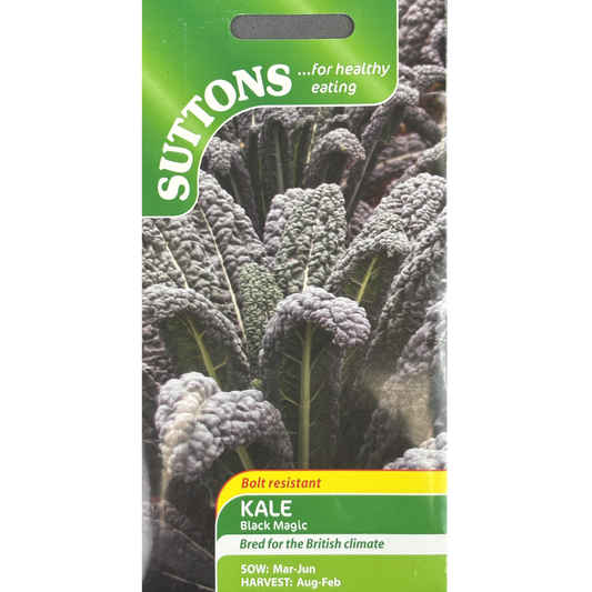 Suttons Seed Kale Black Magic Pkg.