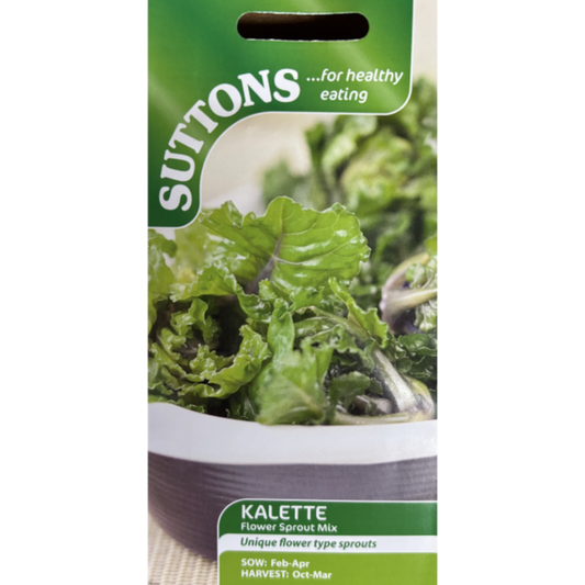 Suttons Seed Kalette Flower Sprout Mix Pkg.