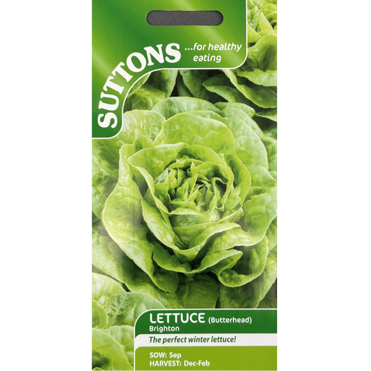 Suttons Seed Lettuce Brighton Pkg.