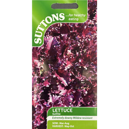 Suttons Seed Lettuce Sulfita Pkg.