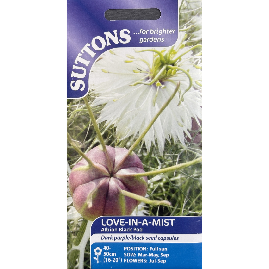 Suttons Seed Love-In-A-Mist Albion Black Pod