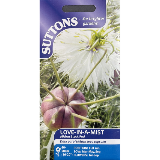Suttons Seed Love-In-A-Mist Albion Black Pod
