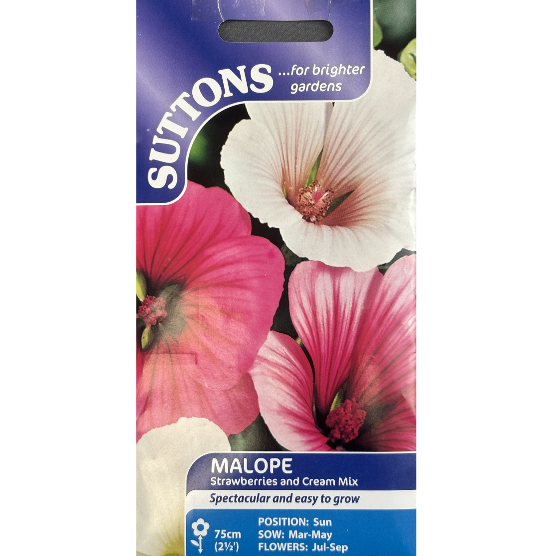 Suttons Seed Malope Strawberries and Cream Mix