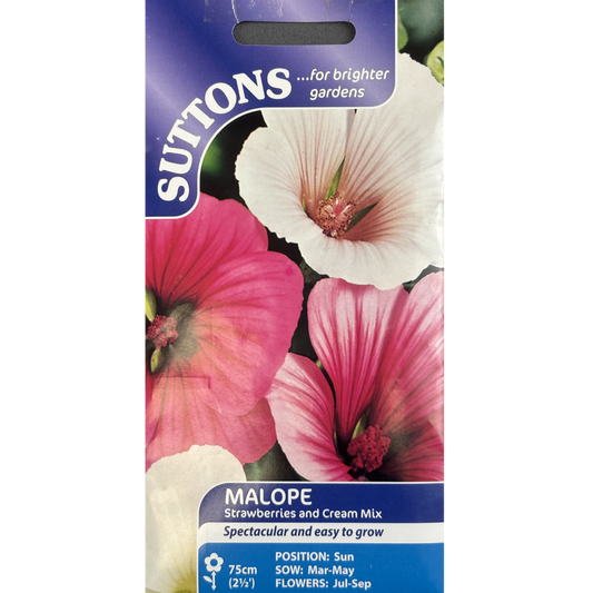 Suttons Seed Malope Strawberries and Cream Mix