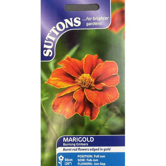 Suttons Seed Marigold Burning Embers Pkg.