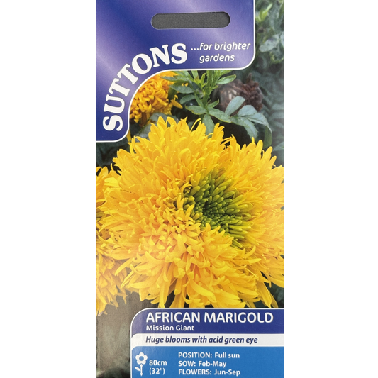 Suttons Seed Marigold African Mission Giant Pkg.