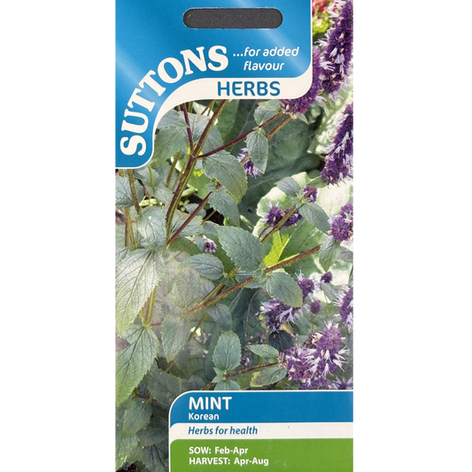 Suttons Seed Mint Korean Pkg.