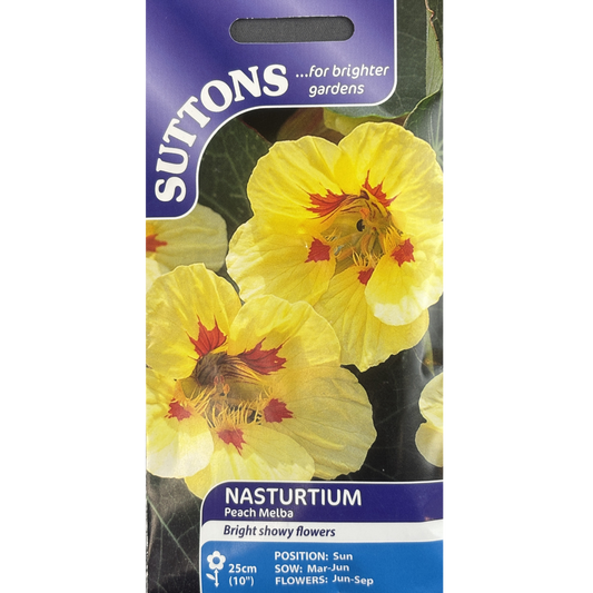 Suttons Seed Nasturtium Peach Melba