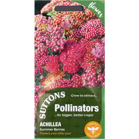 Suttons Seed Pollinators Achillea Summer Berries