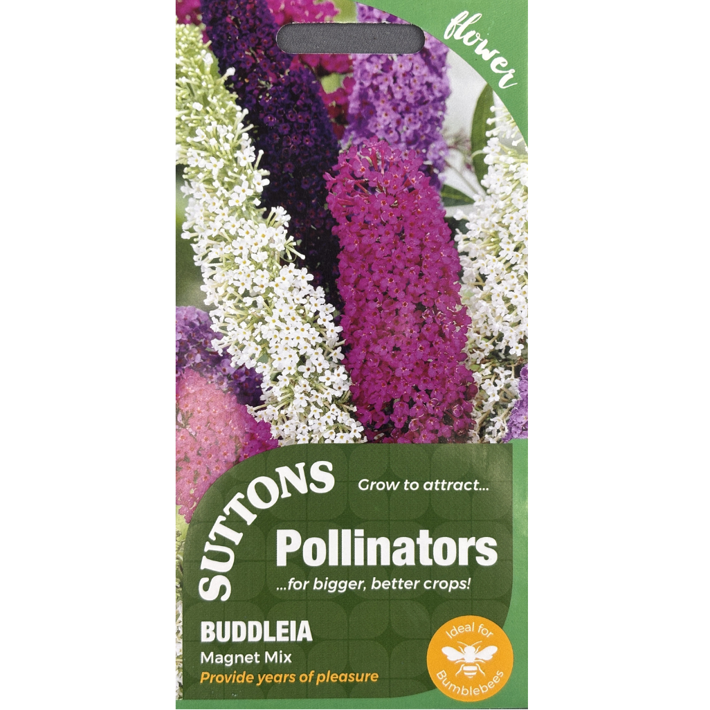 Suttons Seed Pollinators Buddleia Magnet Mix Pkg.