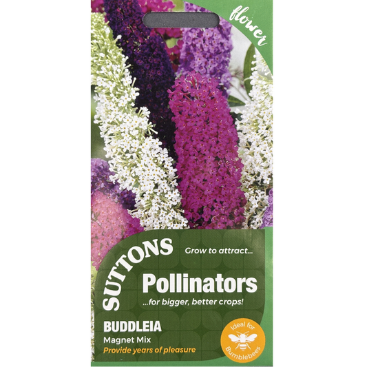 Suttons Seed Pollinators Buddleia Magnet Mix Pkg.
