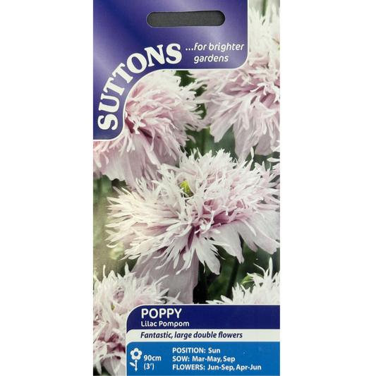 Suttons Seed Poppy Lilac Pompom Pkg.