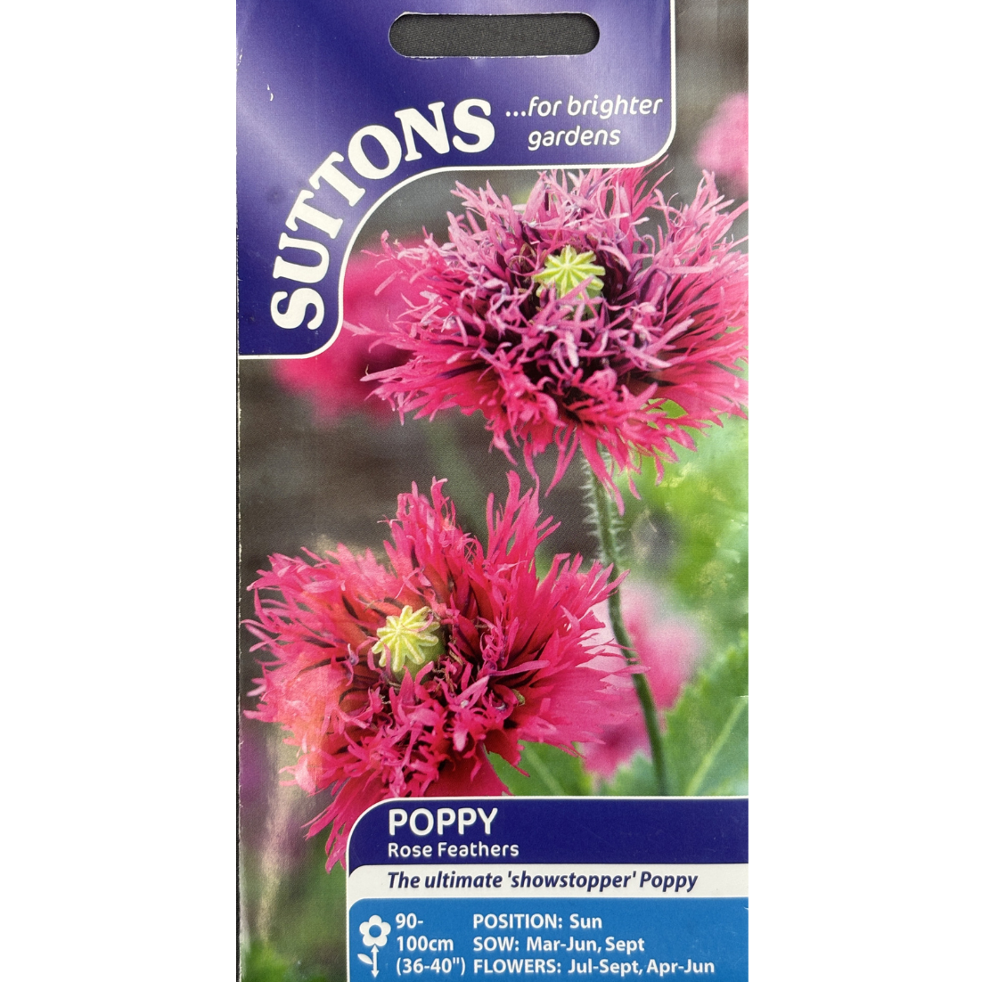 Suttons Seed Poppy Rose Feathers Pkg.