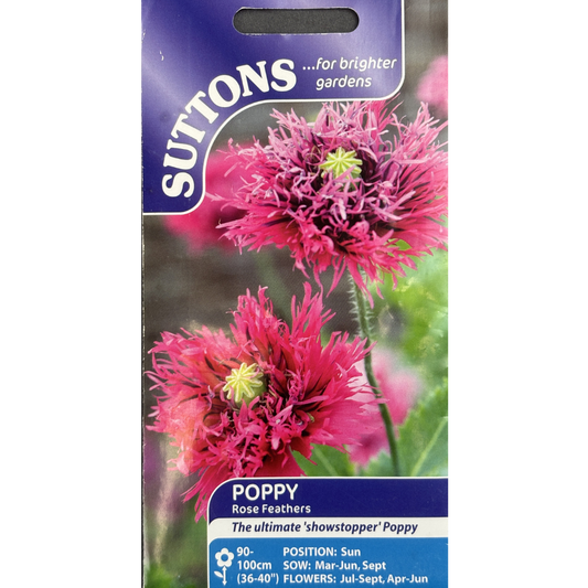 Suttons Seed Poppy Rose Feathers Pkg.