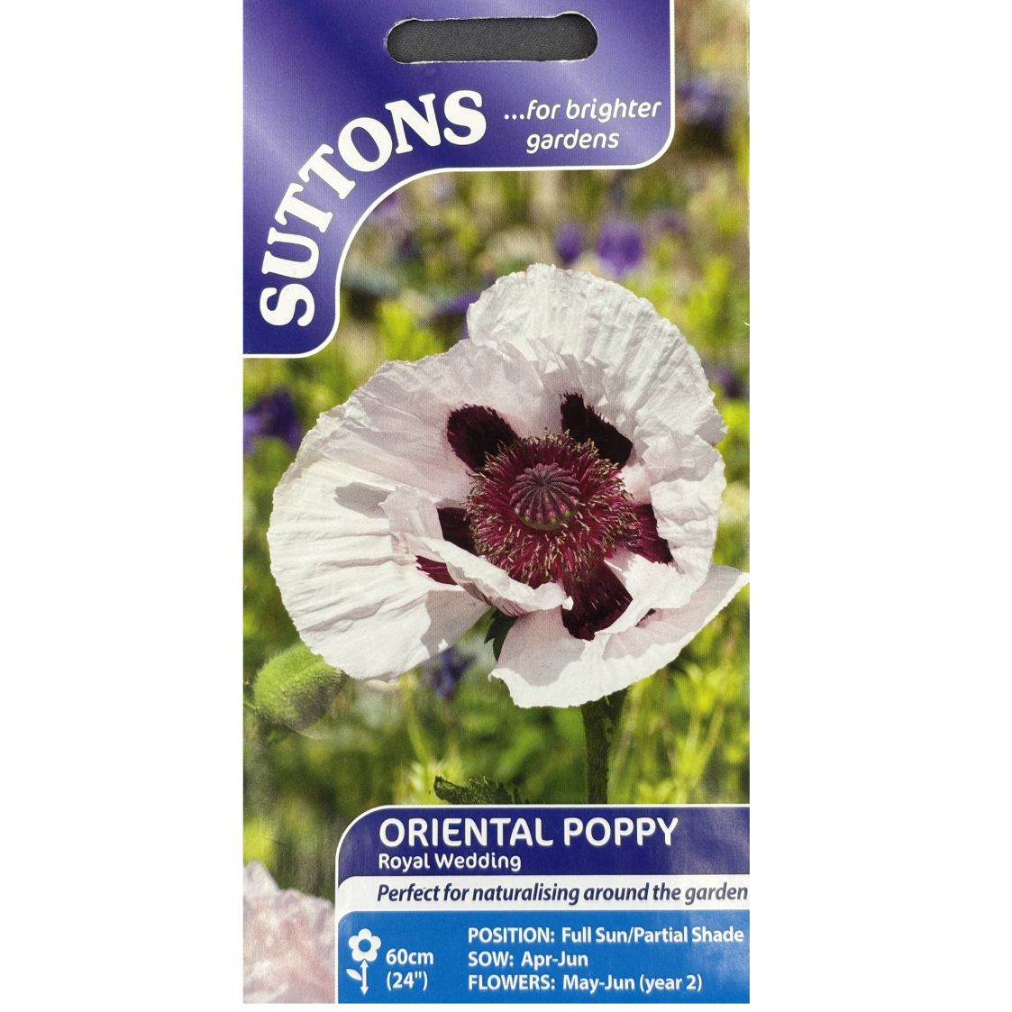 Suttons Seed Poppy Oriental Royal Wedding Pkg.