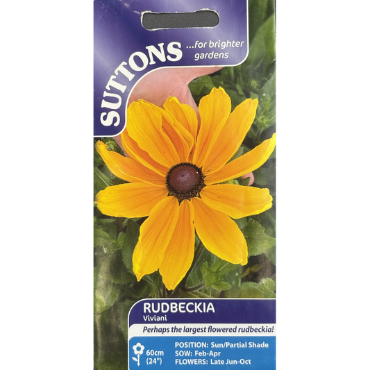 Suttons Seed Rudbeckia Viviani Pkg.