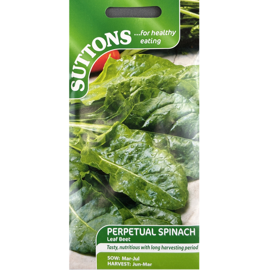 Suttons Seed Spinach Leaf Beet Perpetual Pkg.