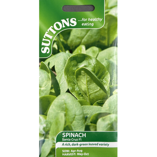 Suttons Seed Spinach F1 Santa Cruz Pkg.