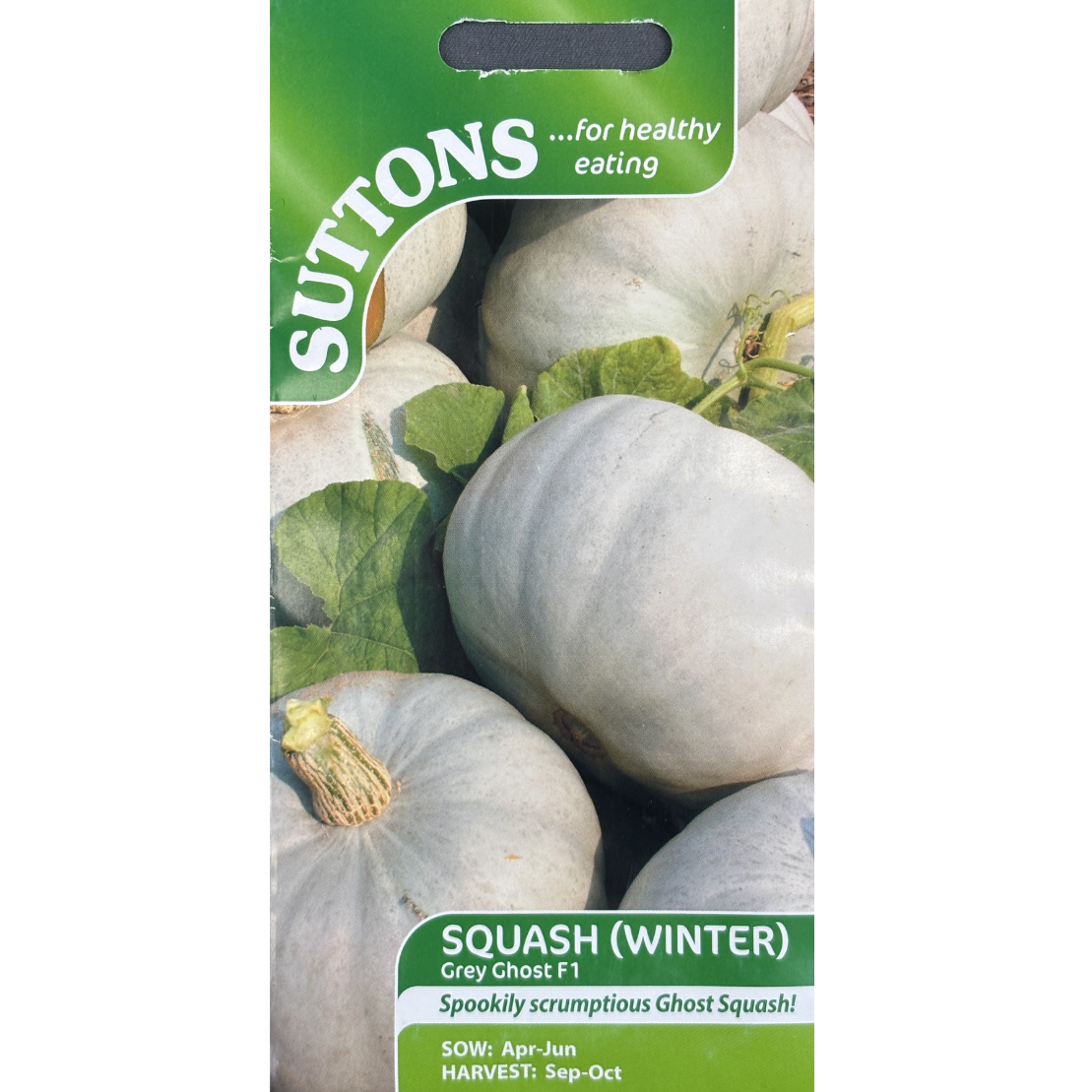 Suttons Seed Squash Grey Ghost F1 Pkg.