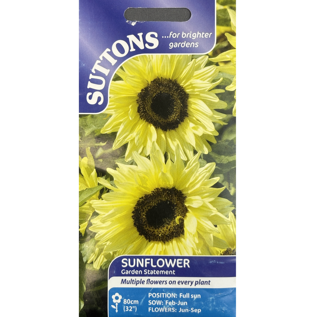 Suttons Seed Sunflower Garden Statement