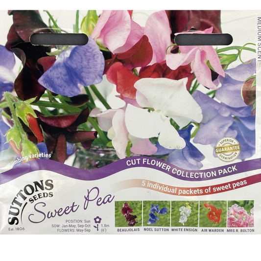 Suttons Seed Sweet Pea Cut Flower Collection
