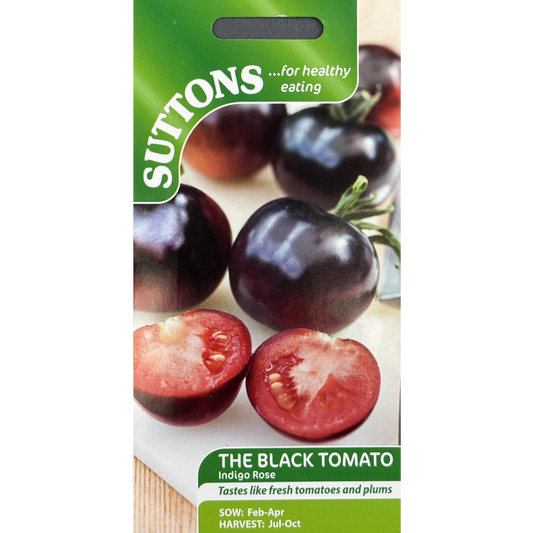 Suttons Seed Tomato Indigo Rose